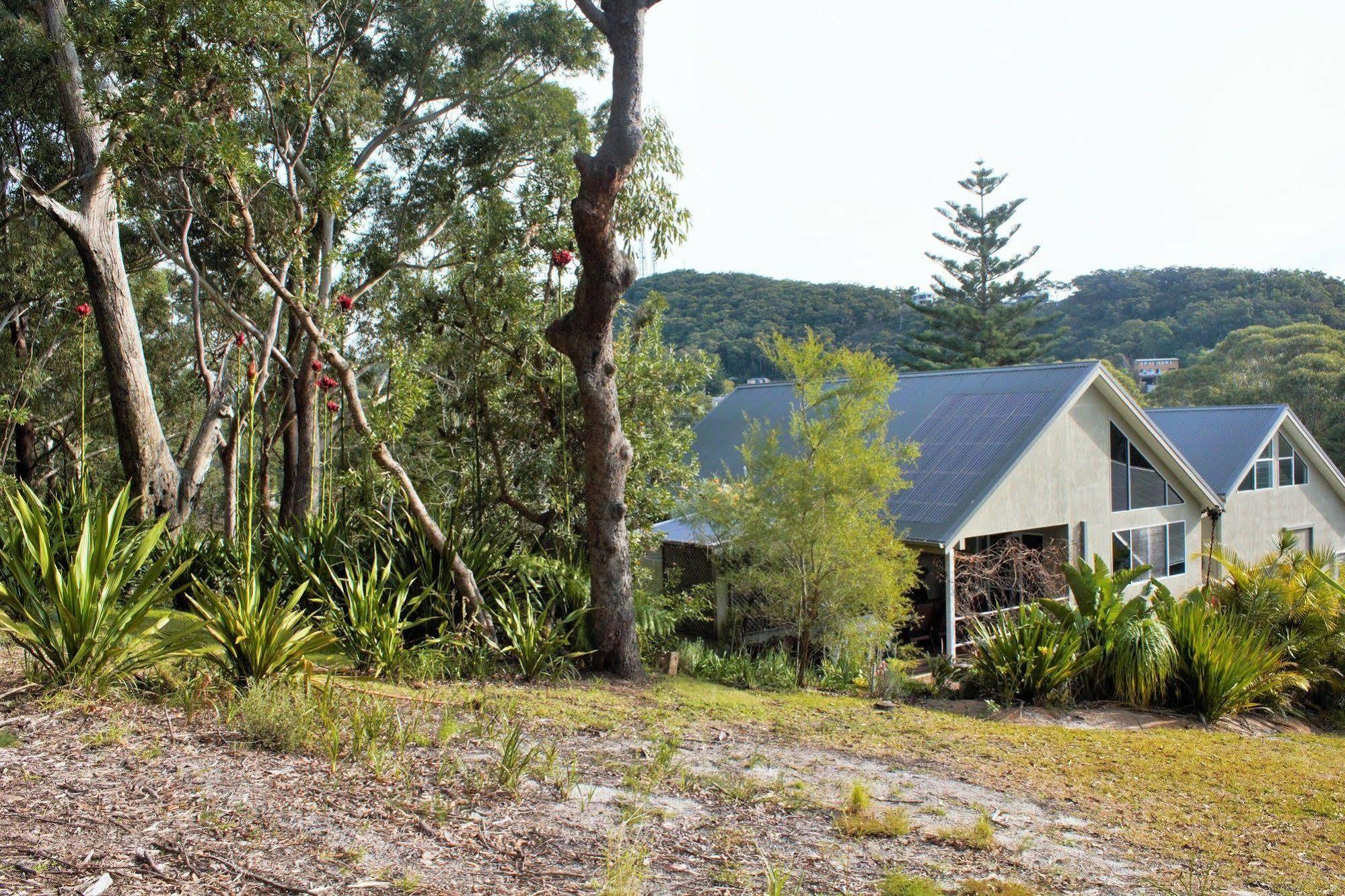 Nelson Bay Bed & Breakfast Εξωτερικό φωτογραφία
