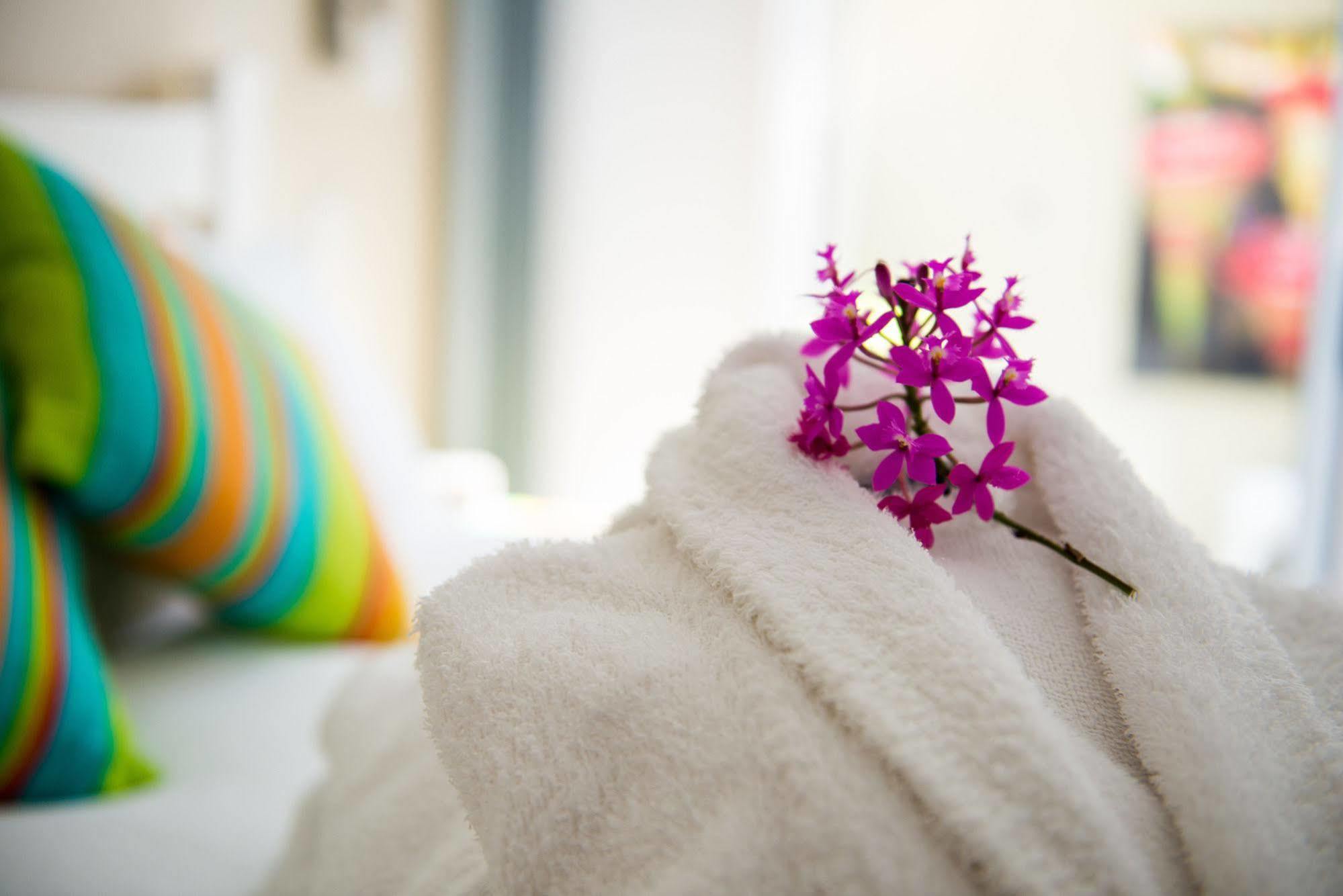 Nelson Bay Bed & Breakfast Εξωτερικό φωτογραφία