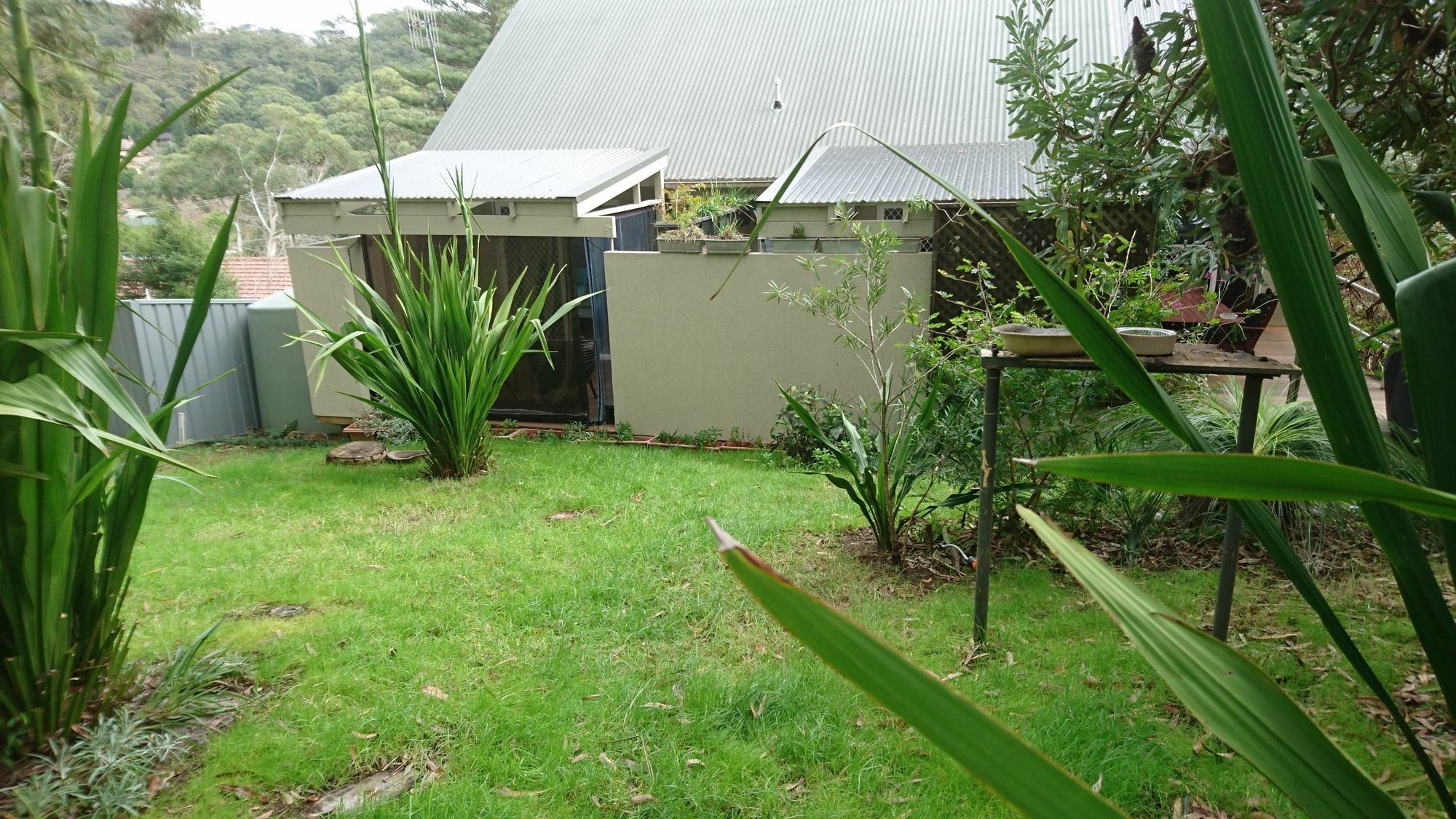 Nelson Bay Bed & Breakfast Εξωτερικό φωτογραφία