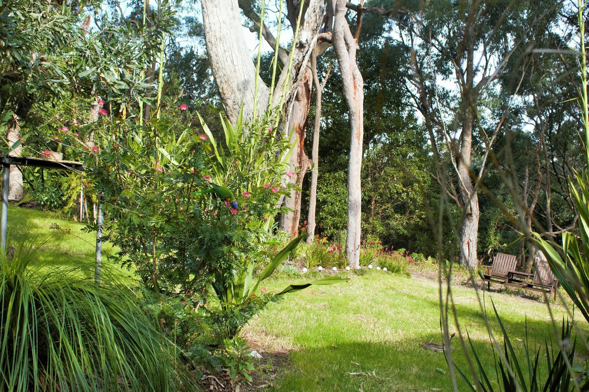 Nelson Bay Bed & Breakfast Εξωτερικό φωτογραφία