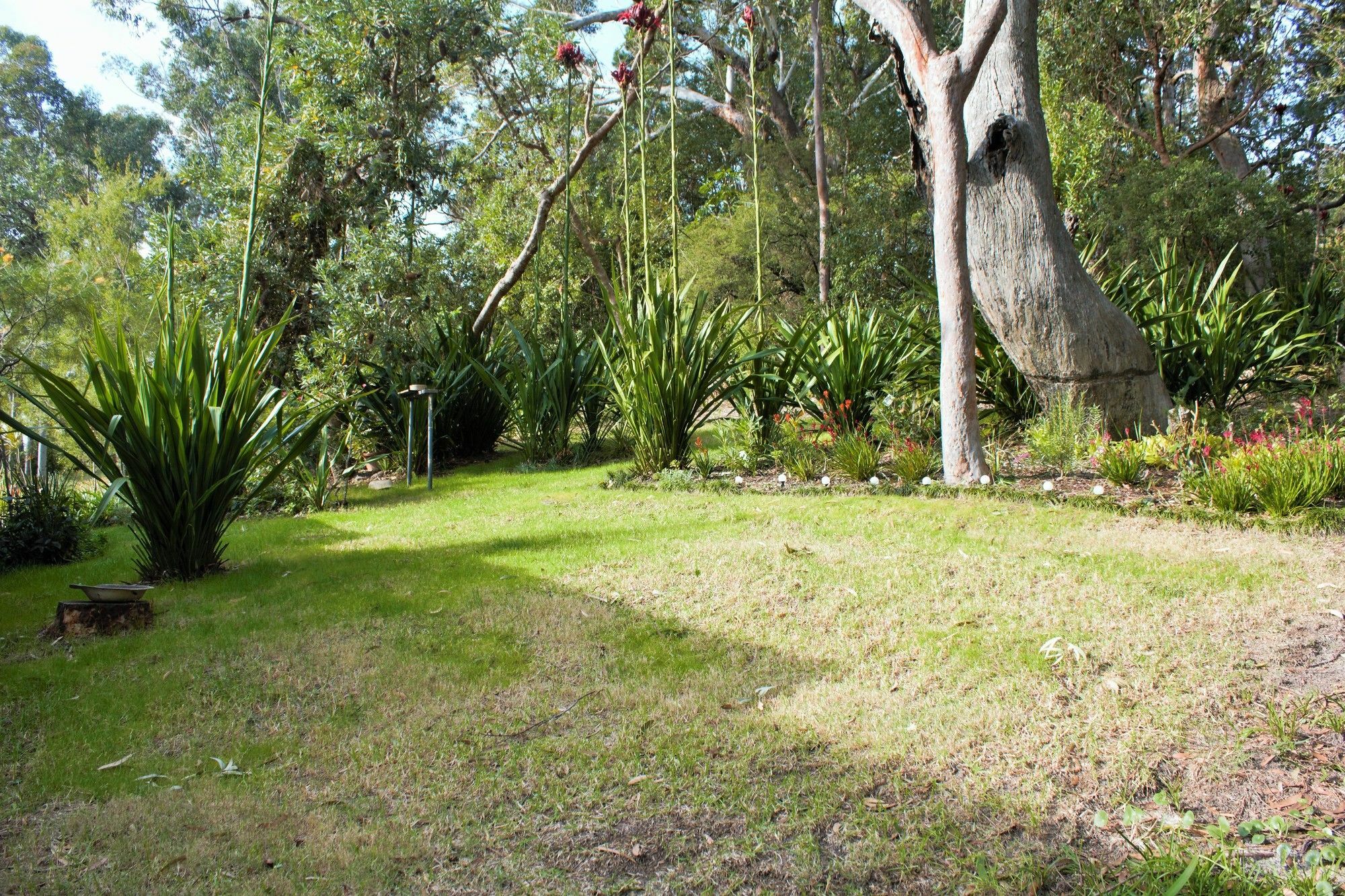 Nelson Bay Bed & Breakfast Εξωτερικό φωτογραφία
